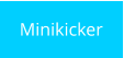 Minikicker